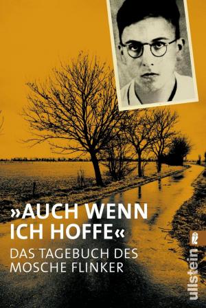 Cover of the book "Auch wenn ich hoffe" - Das Tagebuch von Mosche Flinker by Luise Kaller