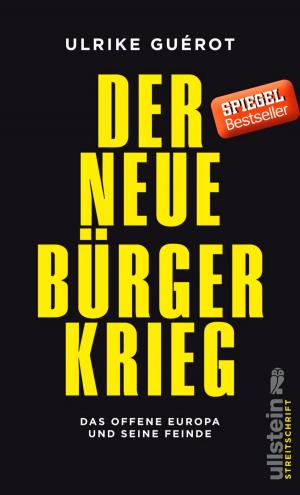 Cover of the book Der neue Bürgerkrieg by Jörg Zittlau, Niels Birbaumer