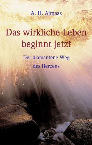 Cover of the book Das wirkliche Leben beginnt jetzt by Daniel Ribeiro Kaltenbach