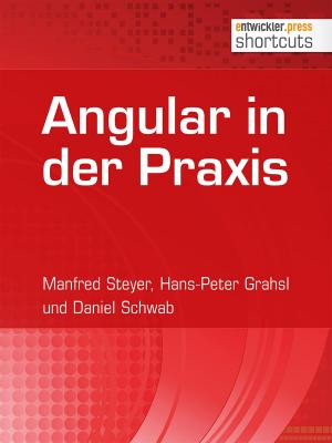 Book cover of Angular in der Praxis