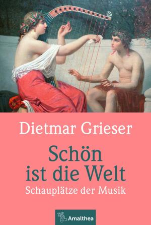 Cover of the book Schön ist die Welt by Gerhard Tötschinger