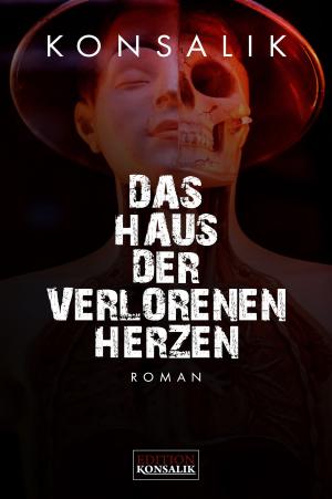 Cover of the book Das Haus der verlorenen Herzen by Veit Heinichen