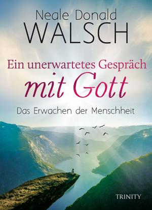 Book cover of Ein unerwartetes Gespräch mit Gott