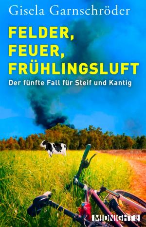 Cover of the book Felder, Feuer, Frühlingsluft by Rikje Bettig