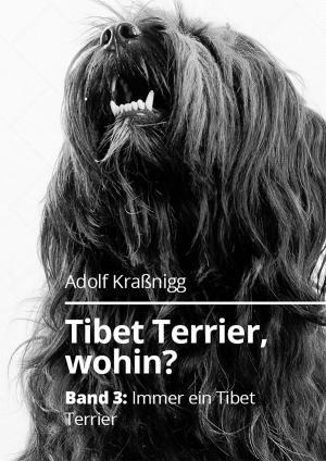 Book cover of Tibet Terrier wohin?