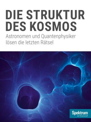 Cover of the book Die Struktur des Kosmos by Jim Spinosa