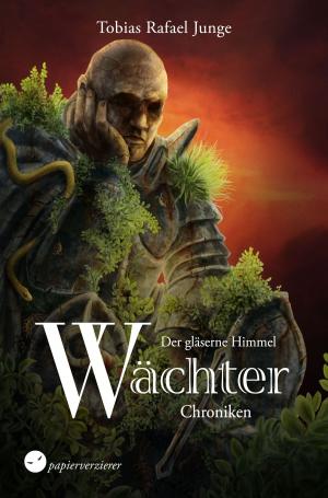 Book cover of Der gläserne Himmel