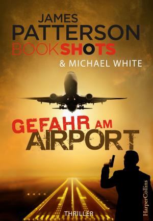 Cover of the book Gefahr am Airport by Erica R. Stinson