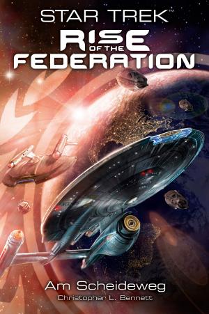 Cover of the book Star Trek - Rise of the Federation 1: Am Scheideweg by Kirsten Beyer