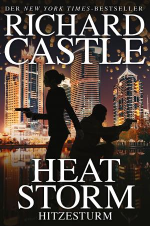 Cover of the book Castle 9: Heat Storm - Hitzesturm by Dayton Ward, Kevin Dilmore