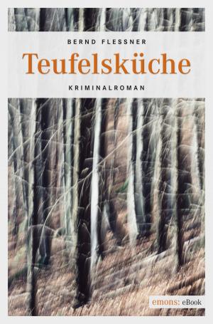 Cover of the book Teufelsküche by Jerry Dunne