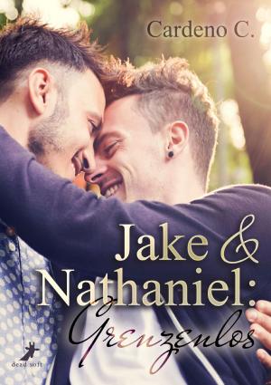 Book cover of Jake & Nathaniel: Grenzenlos
