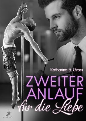 Cover of the book Zweiter Anlauf für die Liebe by Elisa Schwarz, Lena M. Brand