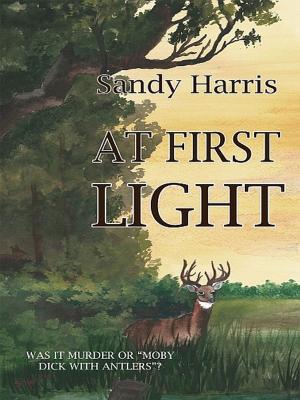 Cover of the book At First Light by Elizabeth Davis
