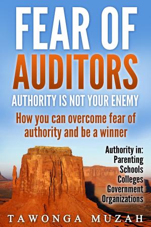 Cover of the book Fear of Auditors by Bill Vincent