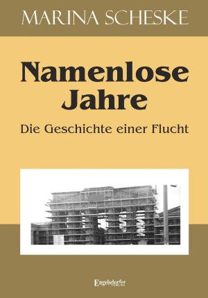 Cover of the book Namenlose Jahre by Detlef Gaastra