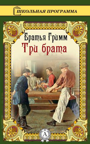 Cover of the book Три брата by Блаженный Августин