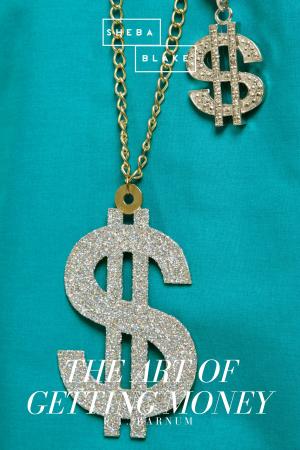 Cover of the book The Art of Getting Money by Sheba Blake