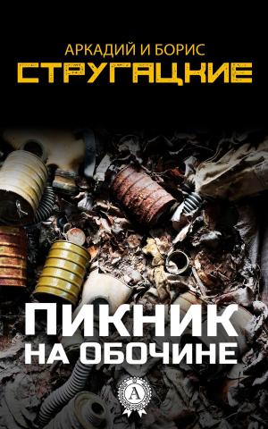 Cover of the book Пикник на обочине by Аркадий Стругацкий, Борис Стругацкий