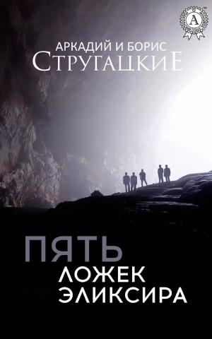 Cover of the book Пять ложек эликсира by Блаженный Августин