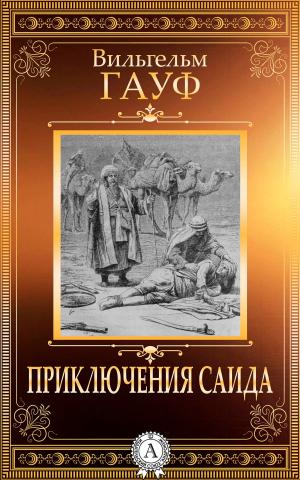 Cover of the book Приключения Саида by Блаженный Августин