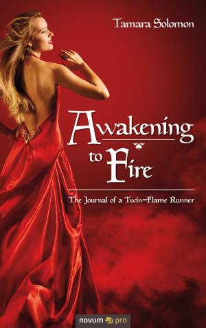 Cover of the book Awakening to Fire by Verena Schwarzer-Zaugg