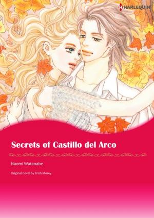 Cover of the book SECRETS OF CASTILLO DEL ARCO by JoAnn Ross