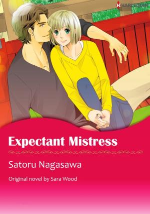 Cover of the book EXPECTANT MISTRESS by Lisa Ruff