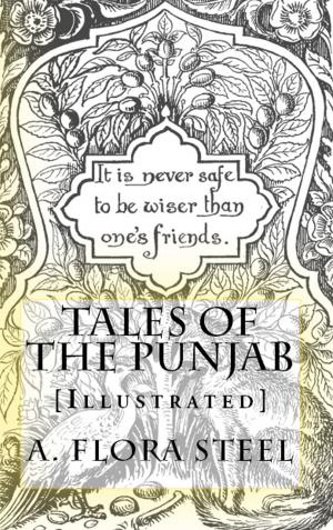 Book cover of Tales of the Punjab