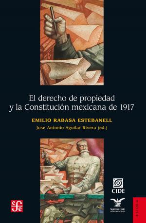 Cover of the book El derecho de propiedad y la Constitución mexicana de 1917 by Ruy Pérez Tamayo