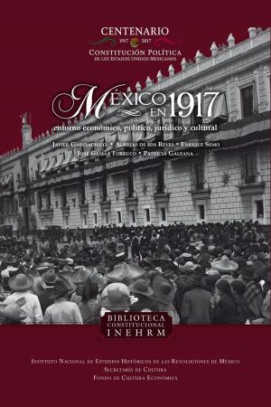 Book cover of México en 1917