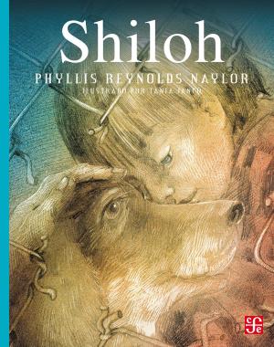 Cover of the book Shiloh by Jean-Marie Le Clézio