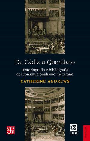 Cover of the book De Cádiz a Querétaro by Pedro Salazar Ugarte