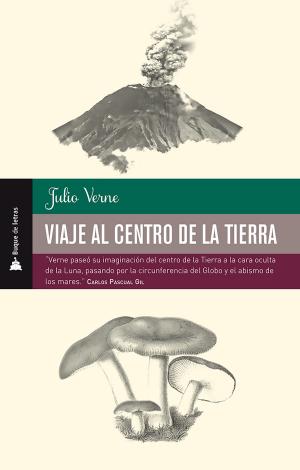Cover of the book Viaje al centro de la tierra by Miguel de Cervantes Saavedra