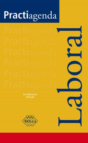 Cover of the book Practiagenda Laboral 2017 by José Pérez Chávez, Raymundo Fol Olguín