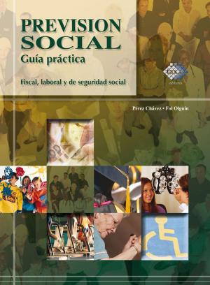 Cover of the book Previsión social. Guía práctica fiscal, laboral y de seguridad social 2017 by Juana Marínez Ríos, Rigoberto Reyes Altamirano