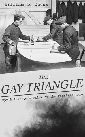 Cover of the book THE GAY TRIANGLE – Spy & Adventure Tales of the Fearless Trio by Conrad Luznar