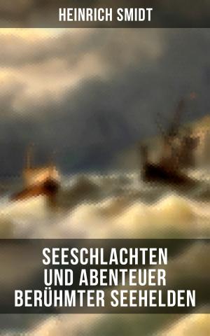 Book cover of Seeschlachten und Abenteuer berühmter Seehelden