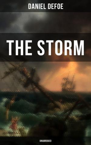 Cover of the book THE STORM - Unabridged by Thomas W. Hanshew, Mary E. Hanshew