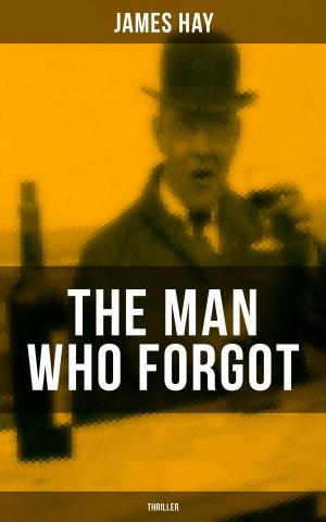 bigCover of the book THE MAN WHO FORGOT (Thriller) by 