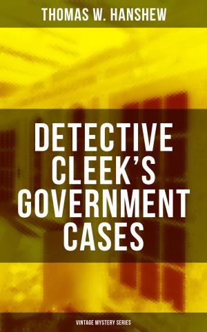 Cover of the book DETECTIVE CLEEK'S GOVERNMENT CASES (Vintage Mystery Series) by Agnes Günther
