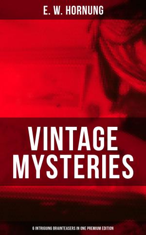 Book cover of VINTAGE MYSTERIES – 6 Intriguing Brainteasers in One Premium Edition