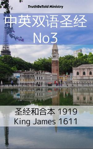 Cover of the book 中英双语圣经 No3 by TruthBeTold Ministry