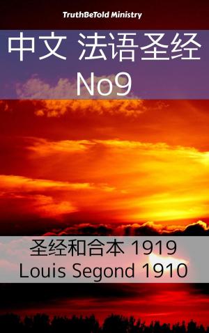 Cover of the book 中文 法语圣经 No9 by Fyodor Dostoyevsky