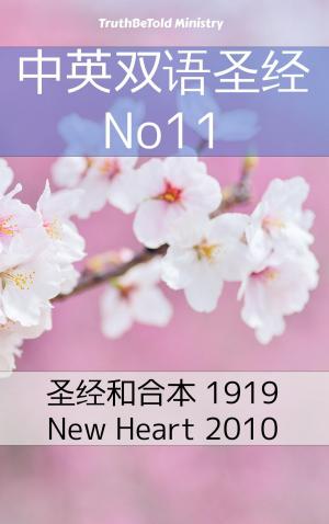 Cover of the book 中英双语圣经 No11 by Nikita Storm