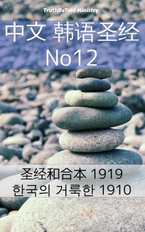 Cover of the book 中文 韩语圣经 No12 by William Makepeace Thackeray