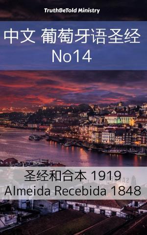 Cover of the book 中文 葡萄牙语圣经 No14 by Anastasia Volnaya