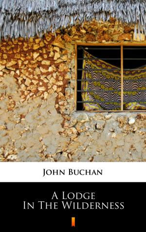 Cover of A Lodge in the Wilderness by John Buchan, Ktoczyta.pl