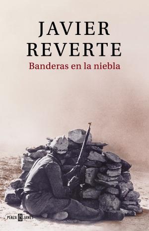 Book cover of Banderas en la niebla