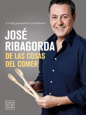 Cover of the book De las cosas del comer by José María Palomares